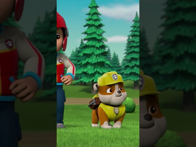 Rocky wird schmutzig und trickst den Kellner-Bot aus! - #PAWPatrol #Shorts Germany