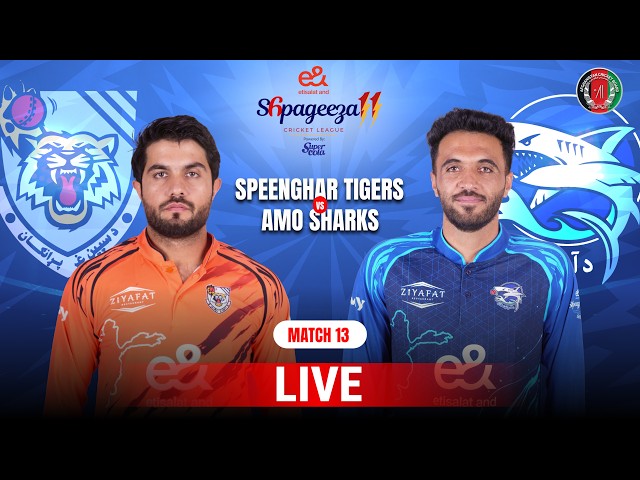 Live | Speenghar Tigers vs Amo Sharks | Match 13 | Shpageeza Cricket League T20 2026 | 301K
