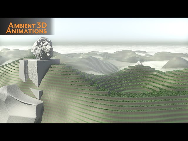 Calming Rice Terrace Ambiance