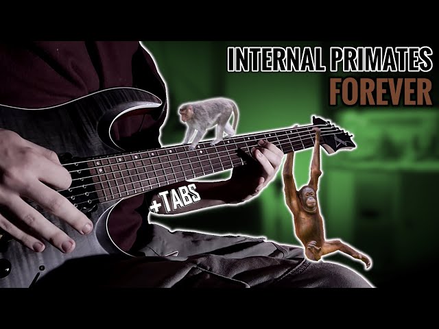 Mudvayne - Internal Primates Forever [Guitar Cover and Lesson] with TABS!