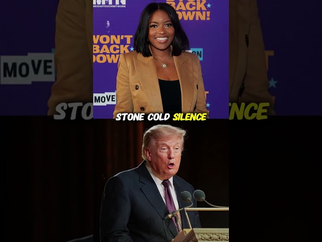 Jasmine Crockett Takes Apart Trump’s Strategy in Viral Exchange 😳🔥 #Shorts