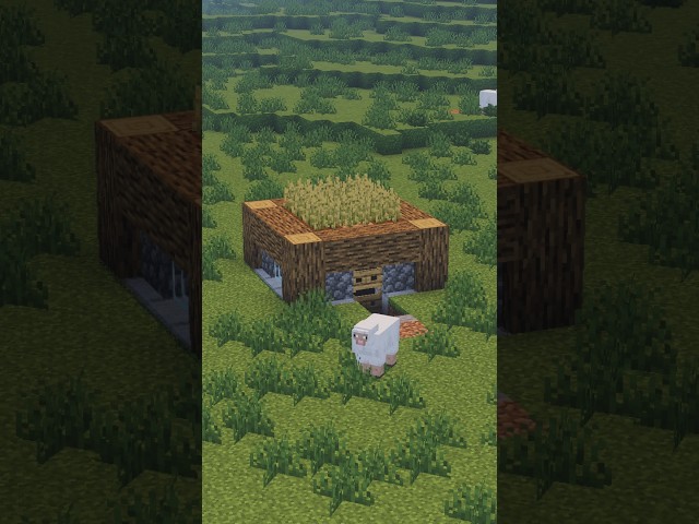 🏠 Tiny Survival House in Minecraft🔥#minecraft #minecraftshorts #minecraftbuilding #mcpe #shorts