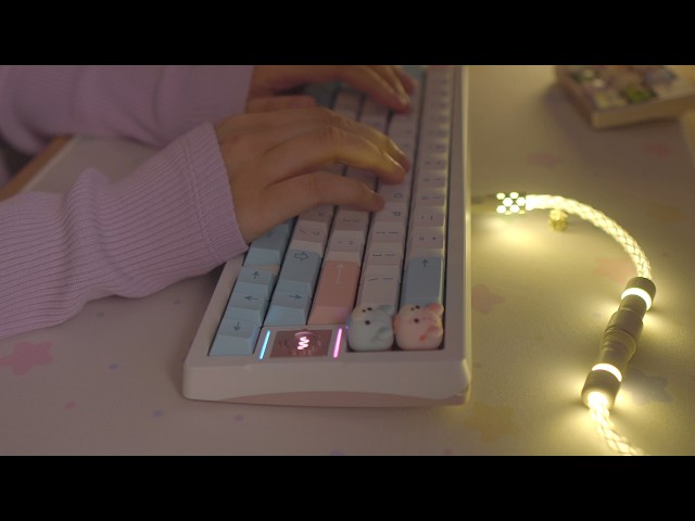[Cozy ASMR] 1h typing on three Keyboards ✨🌙