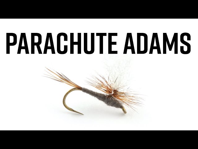 Parachute Adams