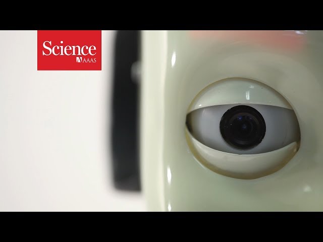 Science Explains: Why do we keep making robots that look like people?