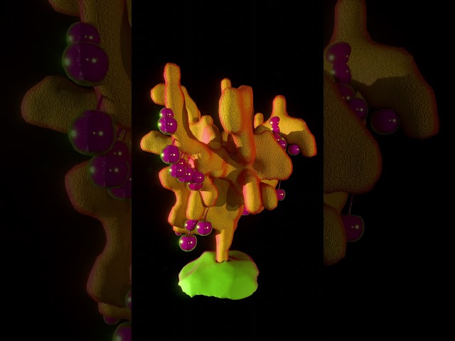 Untitled_exploeation_01 #3danimation #blender