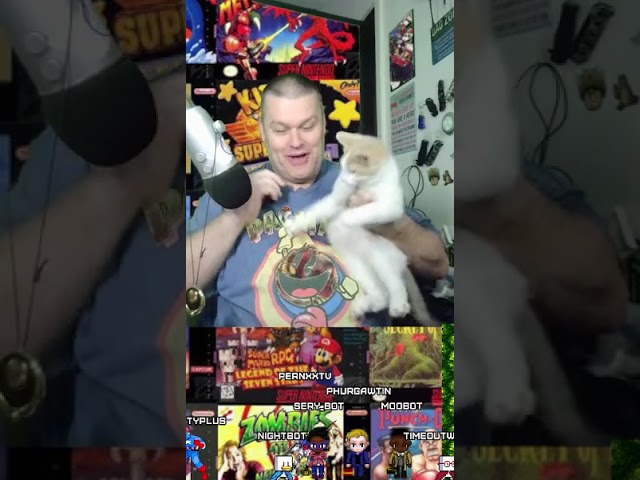 cat vs mic | #pernxxtv on #Twitch