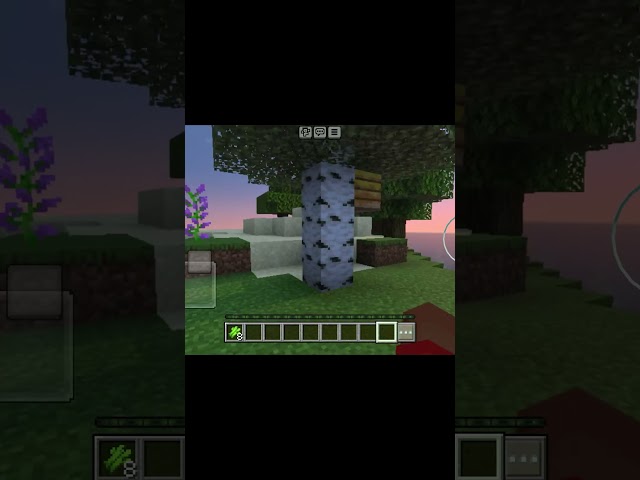 How to make suger in Minecraft? #minecraft #minecraftshorts