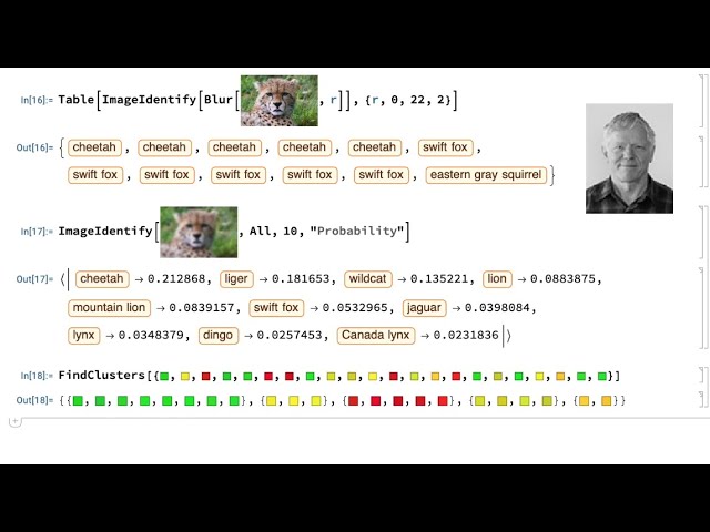 The Basics of Machine Learning in Wolfram Language