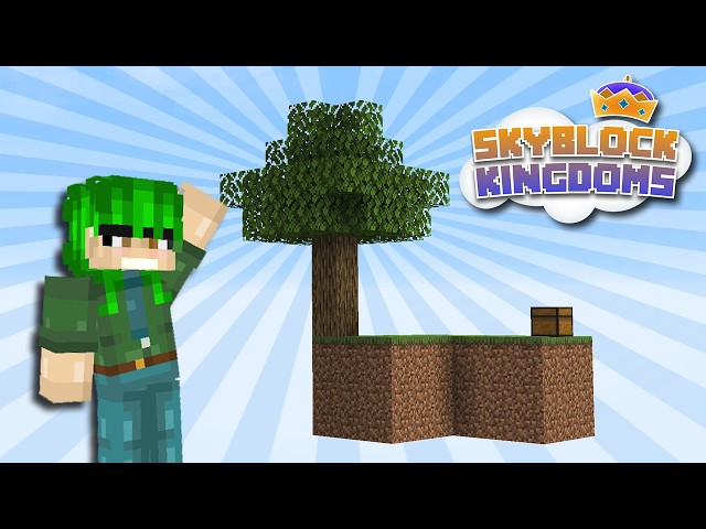 I Joined Minecraft's Biggest Skyblock SMP