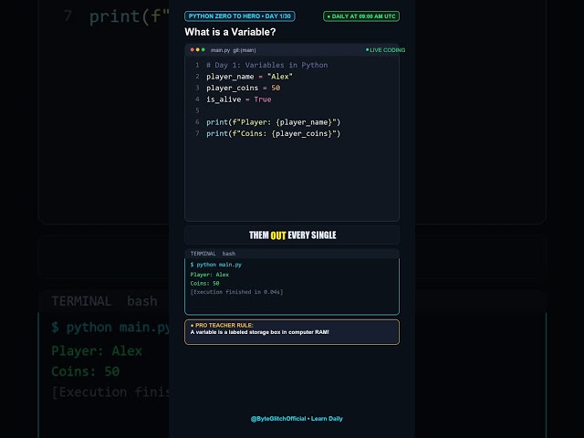 PYTHON ZERO TO HERO • DAY 1/30 | What is a Variable? 📦 #Shorts