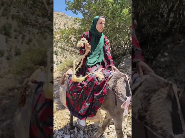 Nahid Rides a Donkey to a Mountain Cave