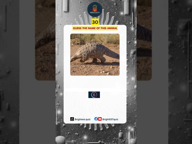 Guess the name of this little beast #triviachallenge #quizgame #fypシ゚viral #guesstheanswer
