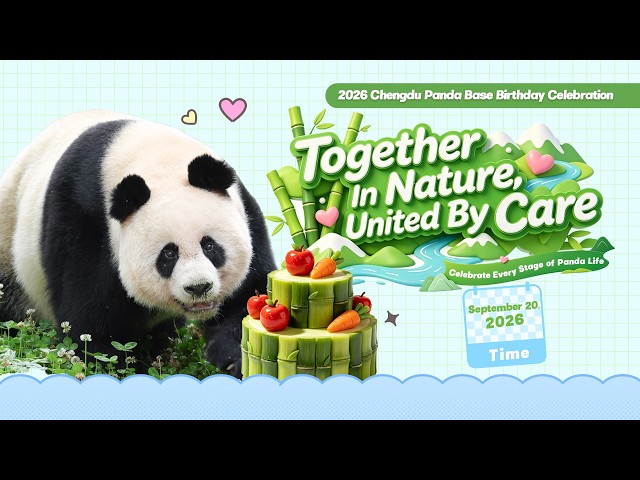 Broadcast: The Journey Of Growth: The Bond - Together In Nature, United By Care | iPanda