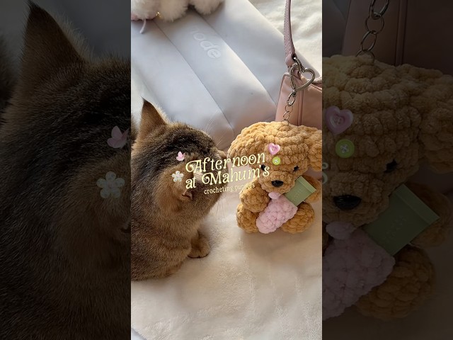 crochet cute puppy keychains with me and my cat! #crochet #craft #diy