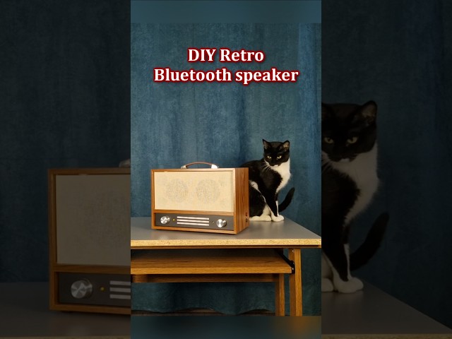 Retro bluetooth speaker - DIY #diy #bluetoothspeaker #retro
