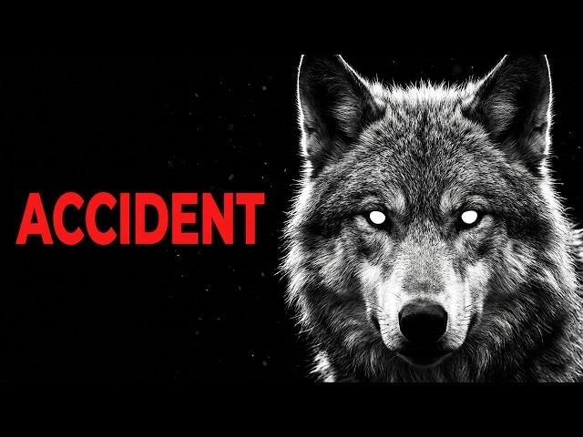 How We Accidentally Created Dogs