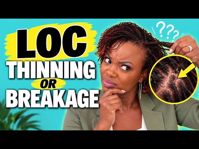 Your Locs Are Thinning at the Root: Breakage or Hair Loss? | Sisterlocs | Microlocs | Locs 