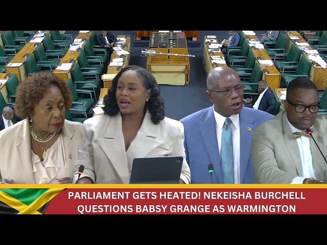 Parliament Gets Heated! Nekeisha Burchell Questions Babsy Grange as Warmington Clashes With Speaker
