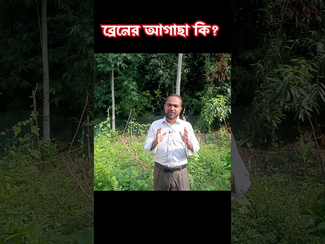 ব্রেনের আগাছা আসলে কি জিনিস? #shorts #brain