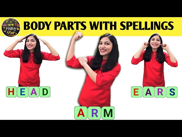 Parts of Body with Spellings | Body Parts Video for Kids | WATRstar