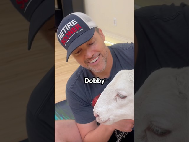 Sheep are people, too. #goatyoga #happy #retire #comedy #lifestyle