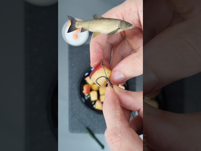 🔥🎣Secret Apple Bait for Grass Carp #shorts