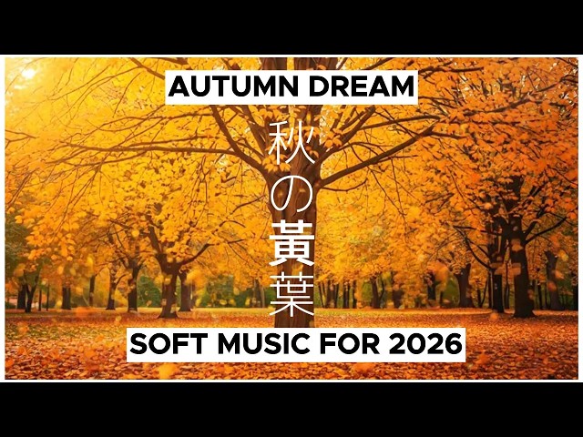 黄金色の森 | Golden Forest | Background Instrumental : Pure & Elegant Piano Music【途中広告無し】
