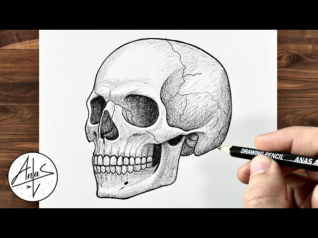 How To Draw A Realistic Skull | Drawing Tutorial Step By Step For Beginners