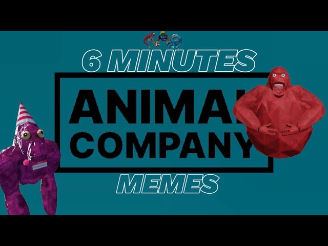 6 MINUTES OF PEAK ANIMAL COMPANY MEMES 🤣🤣🤣