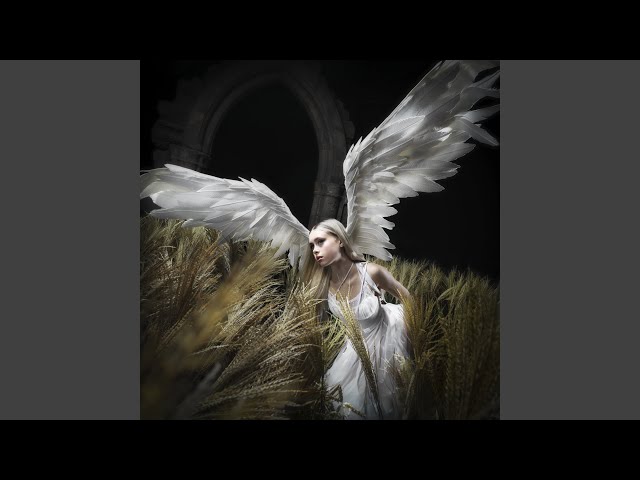 I Am Digital, I Am Divine