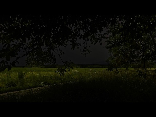 Hiding Under a Tree | Thunderstorm Rolling Over the Fields | Summer at Grandma's Village
