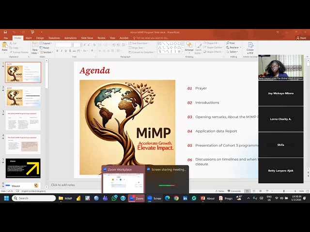 Introductory session to The Global MiMP Program Cohort 3 (03-01-2026)