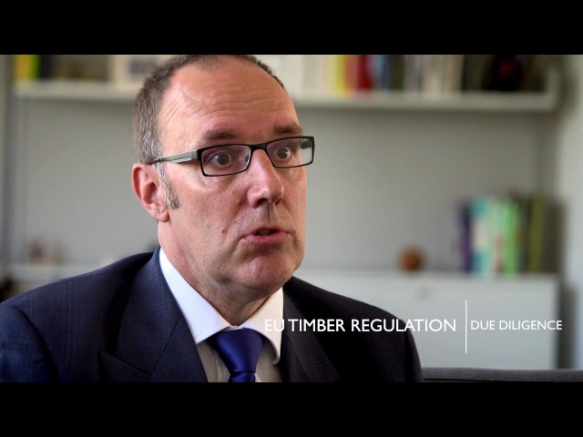 Timber Procurement Strategy (Timber | The Building Material of the Future)