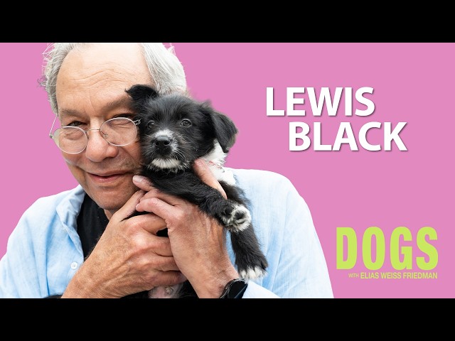 Lewis Black's Take On Your Dog Portrait Collection Is Brutal