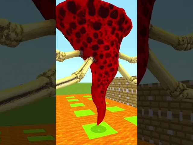Phoebe Chupi And Trypophobia Phase 4 Combined