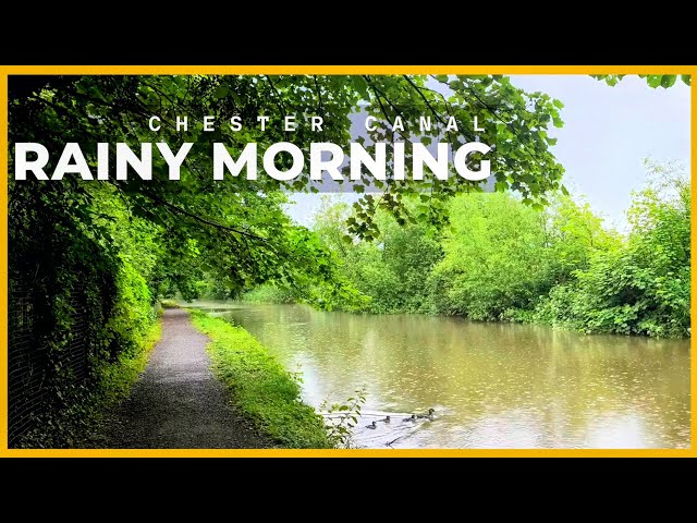 Rainy Morning Walk towards Chester 🌧️ | Shropshire Union Canal | 4K 60fps HDR No Talking