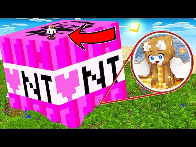 Minecraft, Exploding Mega Giant TNT's!!!