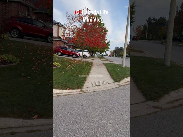 Canada Life Mini Vlog 25 #youtubeshorts #themountainfam #shorts #trending #minivlog #canadalife