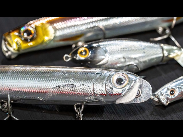 3 Tips For The Fall Topwater Bite! ( Tips For The Final Topwater Bite Of The Year )
