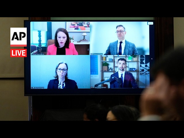 LIVE: Former Anthropic researcher testifies on AI at New York City Council