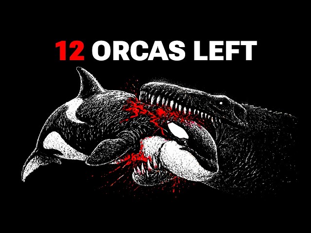 I Simulated 100 Orcas in the Jurassic... It Was Chaos