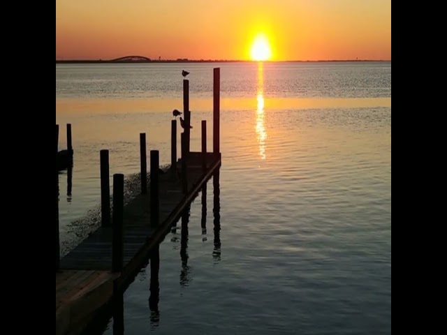 Investors Padre Paradise - South Padre Island - Buy In SPI