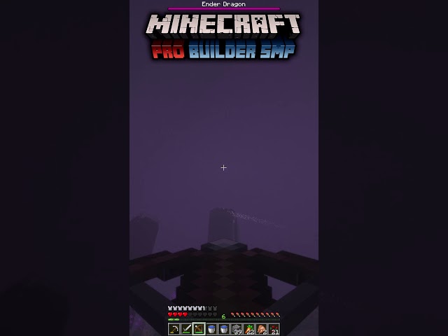 When 5 PRO builder vs the Ender Dragon (Minecraft Pro Builder SMP Shorts)