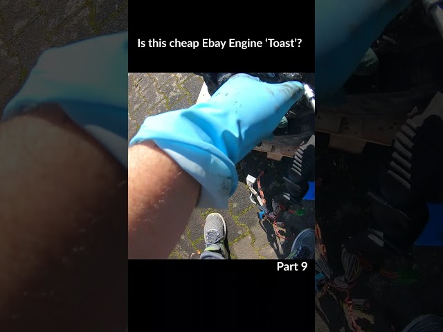 Bought the cheapest BMW N52 engine on ebay. Did I get scammed? #bmwengine #bmwn52 #n52