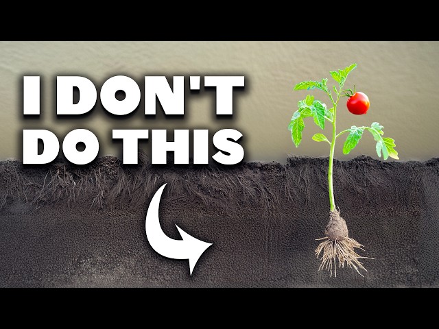 Unpopular Gardening Techniques I Do Anyways (And Why)