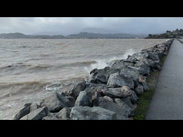 Extremely high tide in the SF bay after a wind-driven storm