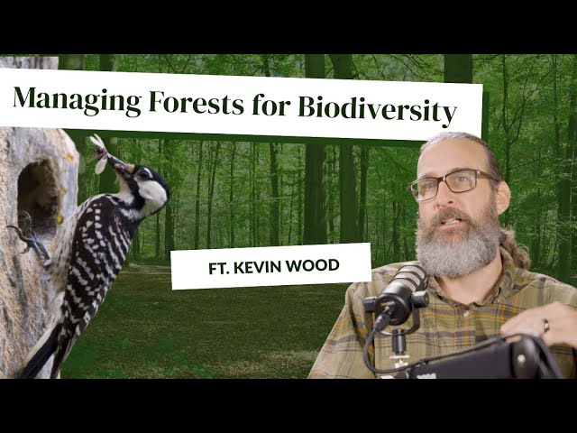 Managing Forests for Biodiversity: The Role of Sustainable Forest Certification