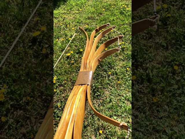 INSANE Penta-Recurve Bow in Action 🔥 #archery #recurvebow #bowyer