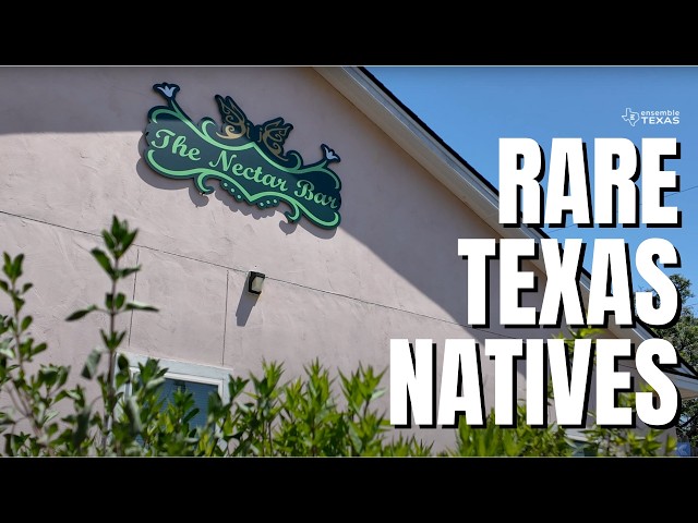 This Texas Nursery Grows Native Plants You Won’t Find Anywhere Else